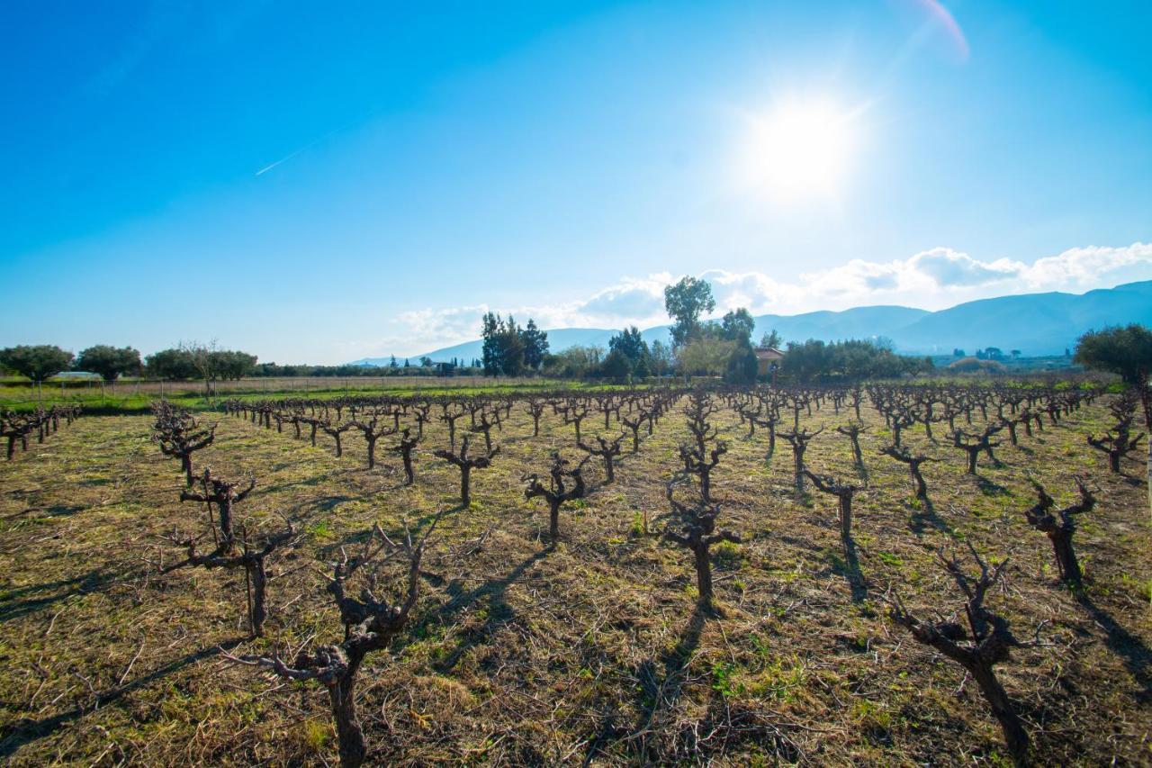 Loukas Farm House Agios Kirikos  Екстер'єр фото