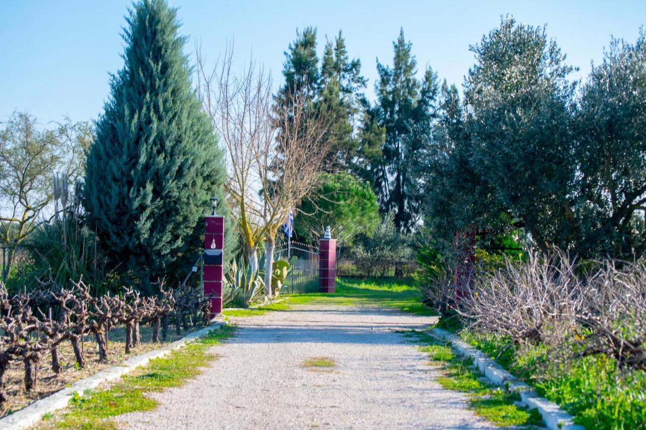 Loukas Farm House Agios Kirikos  Екстер'єр фото