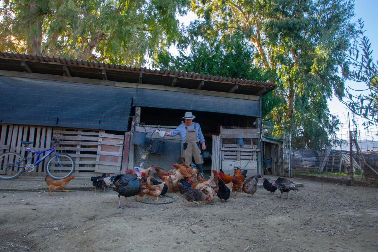 Loukas Farm House Agios Kirikos  Екстер'єр фото