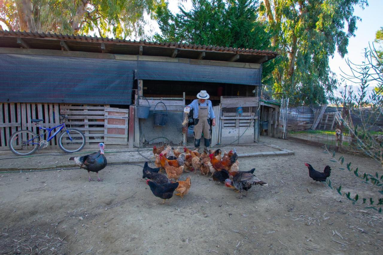 Loukas Farm House Agios Kirikos  Екстер'єр фото