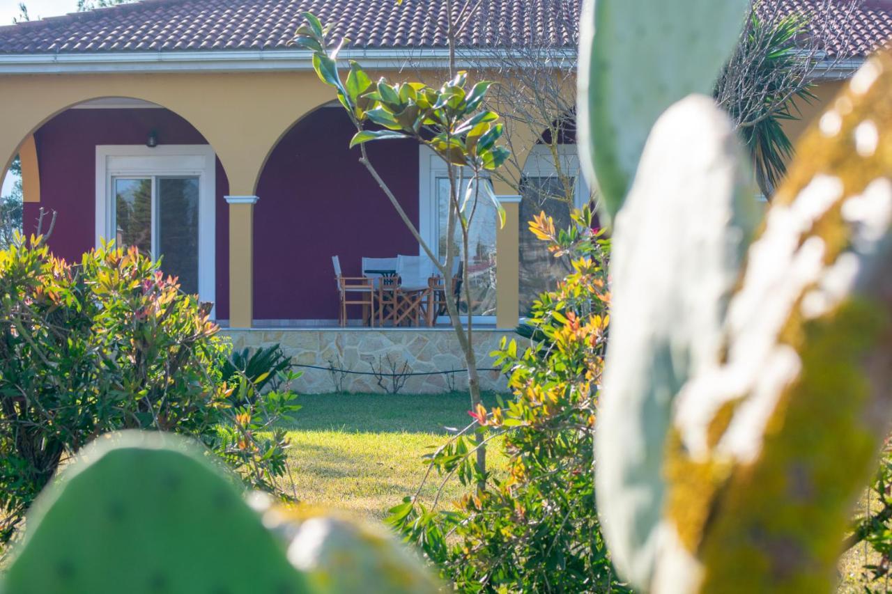 Loukas Farm House Agios Kirikos  Екстер'єр фото